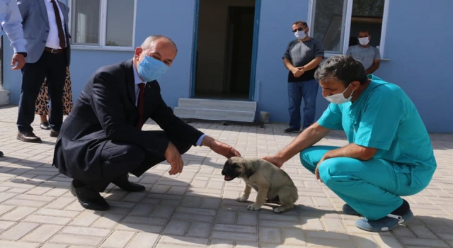 Tekirdağ’dan kısa kısa