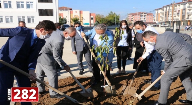 KÜL OLAN ORMANLARIMIZ, YENİ FİDANLARLA YEŞERECEK