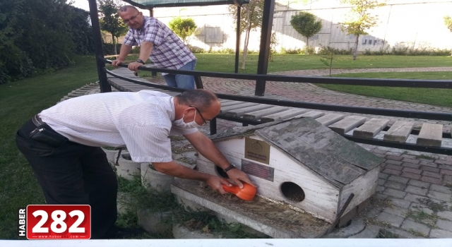 Süleymanpaşa’da sokak hayvanları yalnız değil