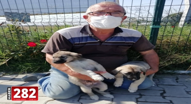 Ergene’de Sevimli Dostlarımızı Yuvalarına Uğurluyoruz