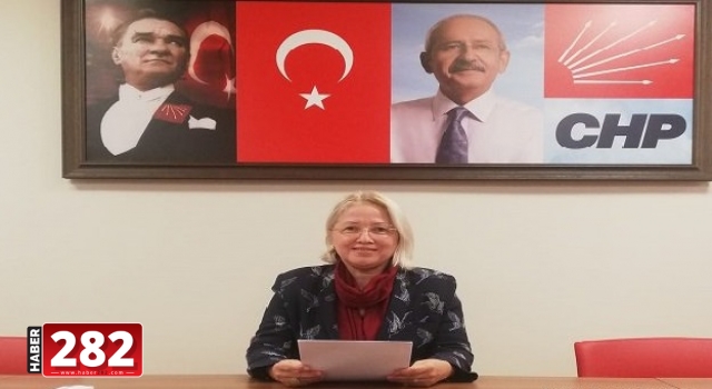 CHP İl Kadın Kolları Basın Açıklaması