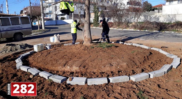 Marmaraereğlisi Belediyesi Çevre Düzenlemesi Çalışmalarına Devam Ediyor