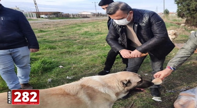 ÇORLU’DA 9 AYLIK DÖNEMDEKİ ÇALIŞMALAR PAYLAŞILDI