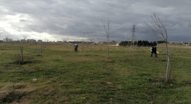 Tekirdağ’dan kısa kısa