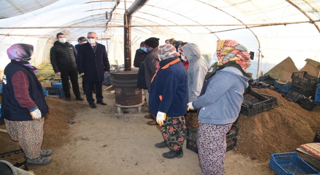 Keşan’da seralarda çalışan kadınlar 750 bin çiçek yetiştirdi