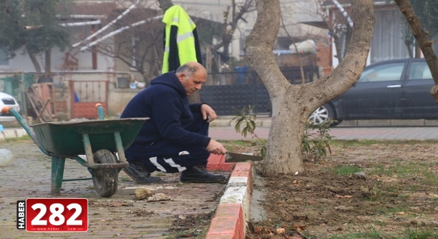 MARMARAEREĞLİSİ BAHARA HAZIRLANIYOR