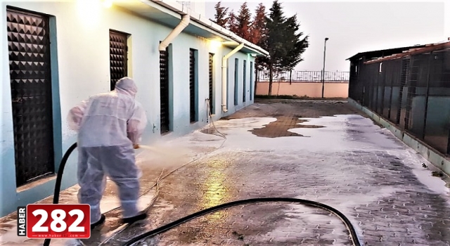 Sokakta yaşayan canlar Geçici Bakımevinde de güvende