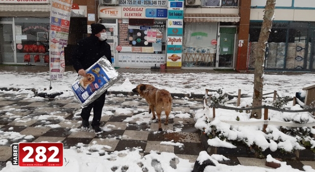 Başkan Yüksel Sokak Hayvanlarını Elleri ile Besledi