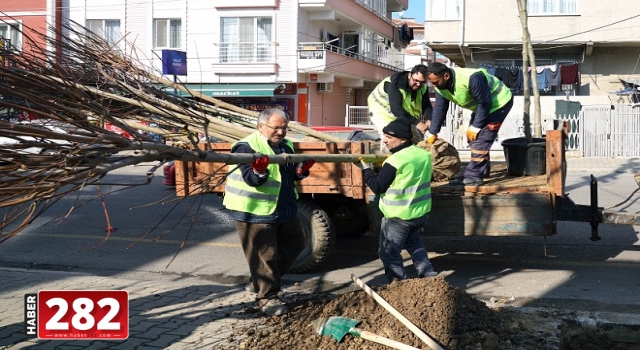 Çorlu'da Ağaçlandırma Çalışmalarımız Sürüyor