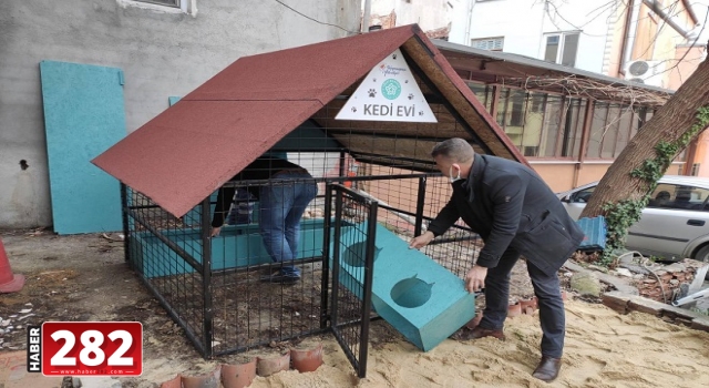 Süleymanpaşa'da Kedi Oteli hizmete girdi