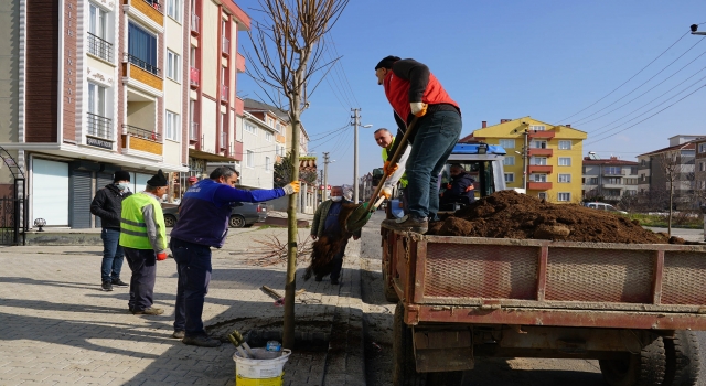 Tekirdağ’dan kısa kısa