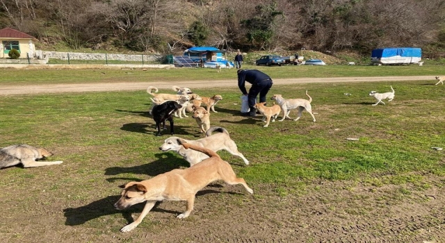 Kırklareli’nden kısa kısa