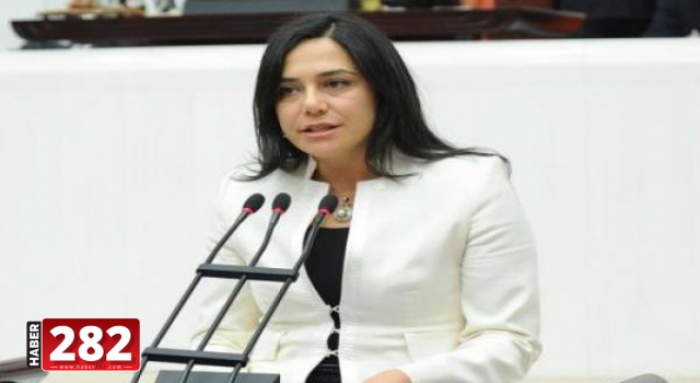 CHP Tekirdağ Milletvekili Candan YÜCEER'in Basın Açıklaması: