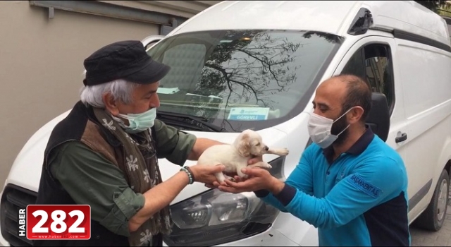 AVCILAR  ARAMA VE KURTARMA TİMİNE  YAVRU AV KÖPEĞİ HEDİYE ETTİ