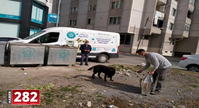 Sokakta yaşayan canlar tam kapanmada Süleymanpaşa Zabıtasına emanet