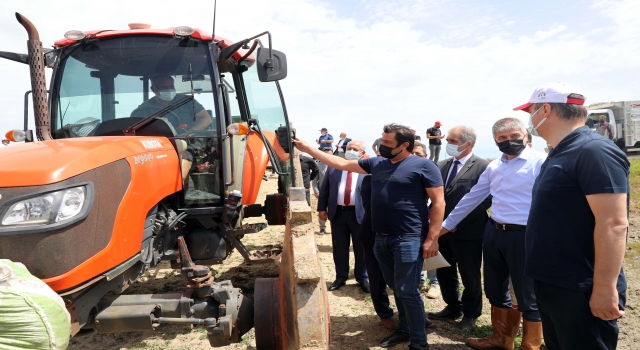 Edirne Valisi Ekrem Canalp çeltik ekti