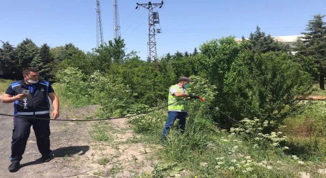 Lüleburgaz’da ilaçlama çalışması