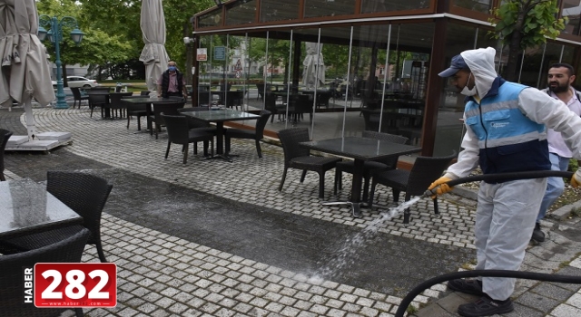 Çay bahçeleri yaza hazırlandı