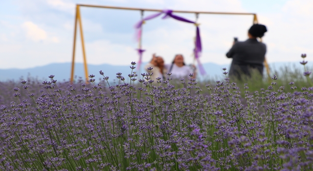 ”Tekirdağ Lavanta Günleri” başladı