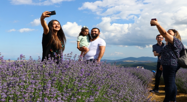 Tekirdağ’da ”Lavanta Günleri” etkinlikleri devam ediyor
