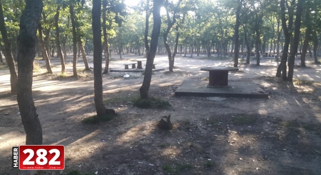 Ergene Belediyesi Mesire Alanını Temizledi