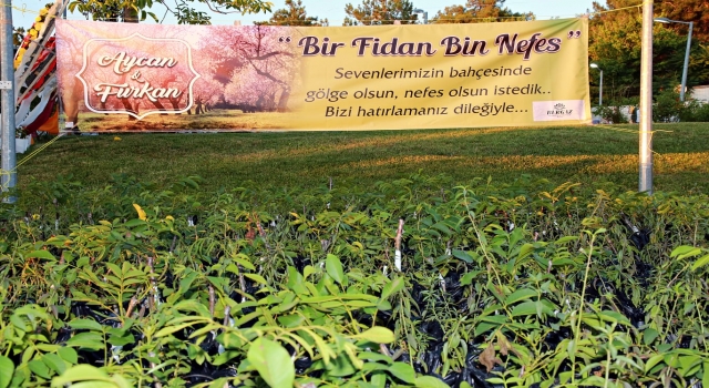 Lüleburgaz’da düğün davetlilerine fidan hediye edildi