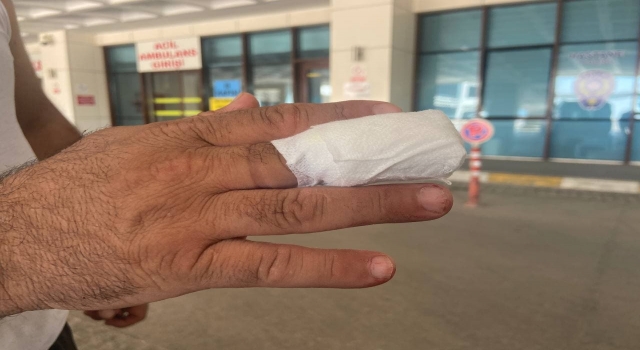 Trakya’da acemi kasaplar hastanelik oldu