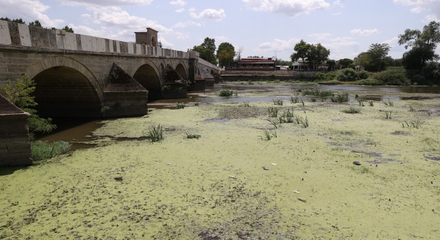 Edirne’de su seviyesi düşen nehirlerde adacıklar oluştu, yosunlar yüzeye çıktı