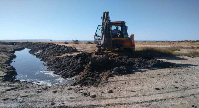 Enez ilçesinde flamingolara can suyu verildi