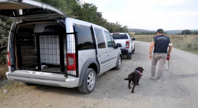 Tekirdağ’da kaybolan 35 yaşındaki muhasebecinin bulunması için çalışma başlatıldı