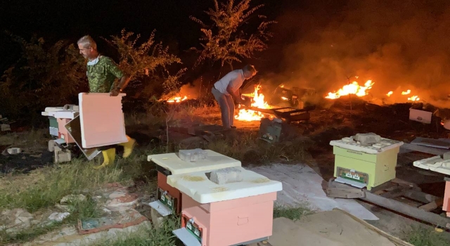 Yangının sıçradığı kovanların kapaklarını açan üretici, binlerce arıyı kurtardı