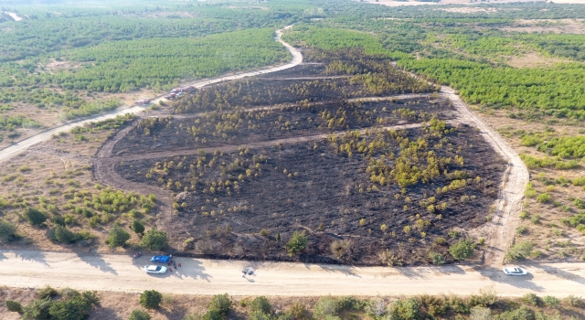 GÜNCELLEME 2  Edirne’deki orman yangını söndürüldü