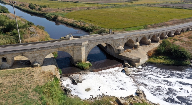 Ergene Nehri’ndeki kirliliğin ”yapay sulak alanlar” kurularak önlenmesi önerildi